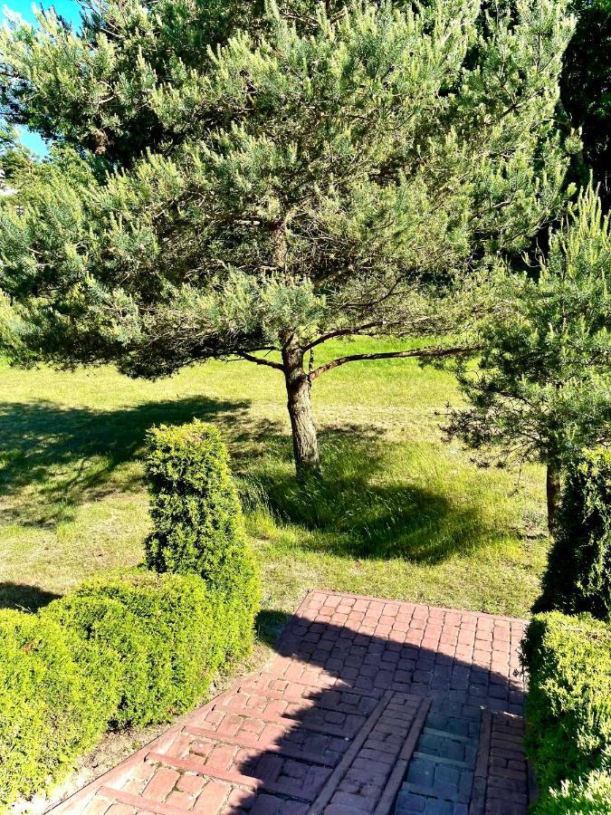 Domki Debina Villa Debina  Exterior photo